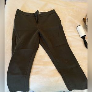 Ann Taylor / petite 8P